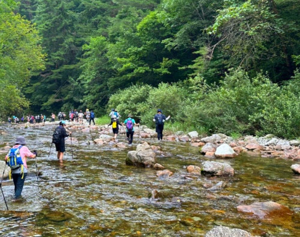 산행여행, ‘50~60대 여성’ 힐링 중심 가장 많다